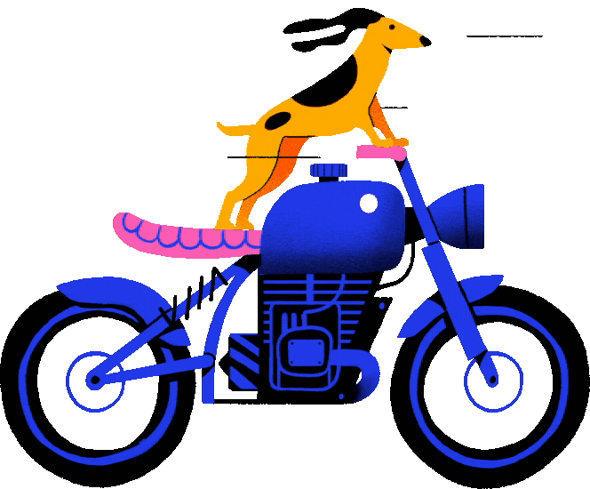 Doggo on a bike